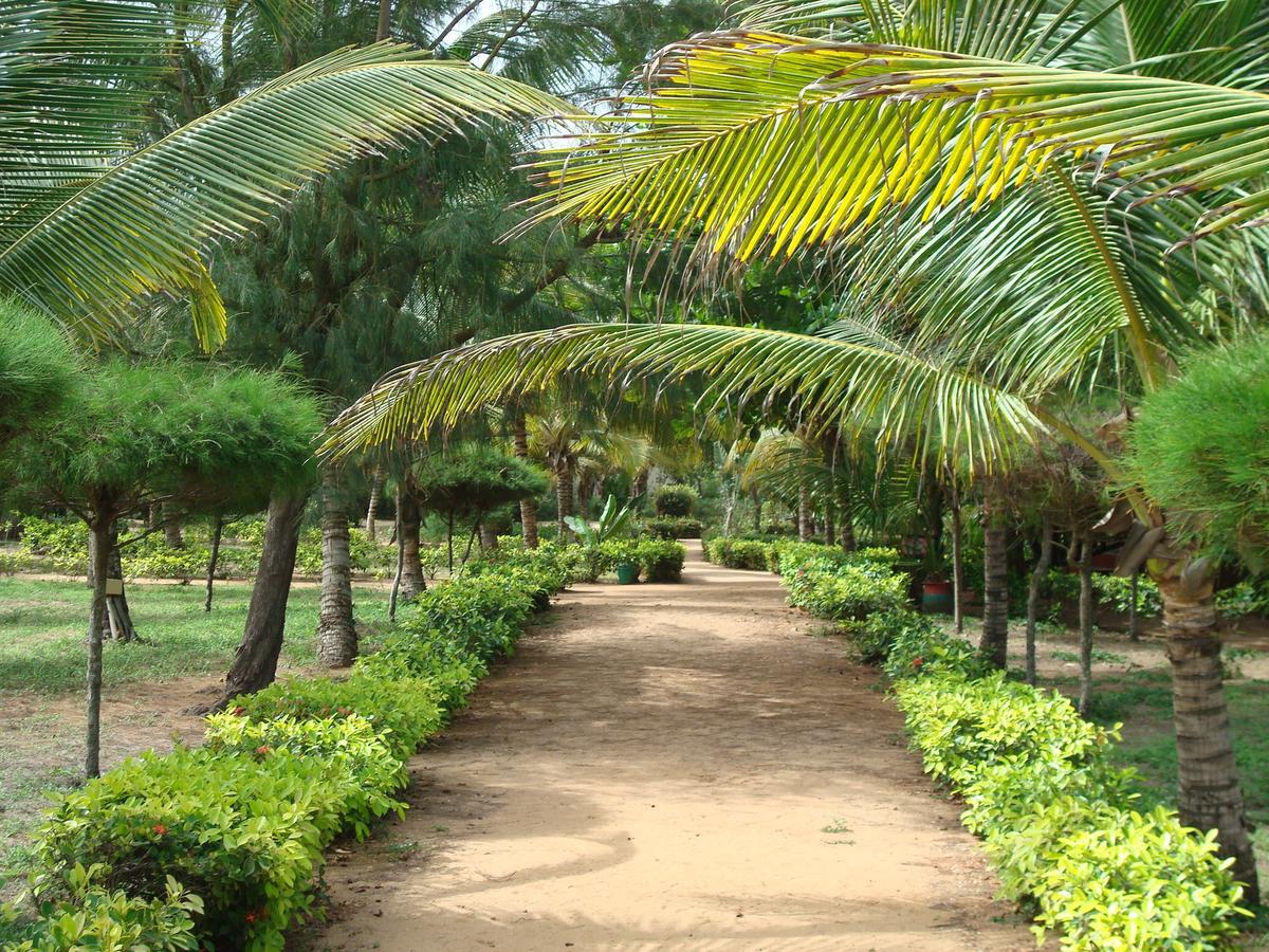 Hotel Village Vacances Awale Plage Grand-Popo Exterior foto
